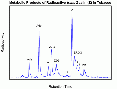 Metabolic profile of trans-zeatin in tobacco cells